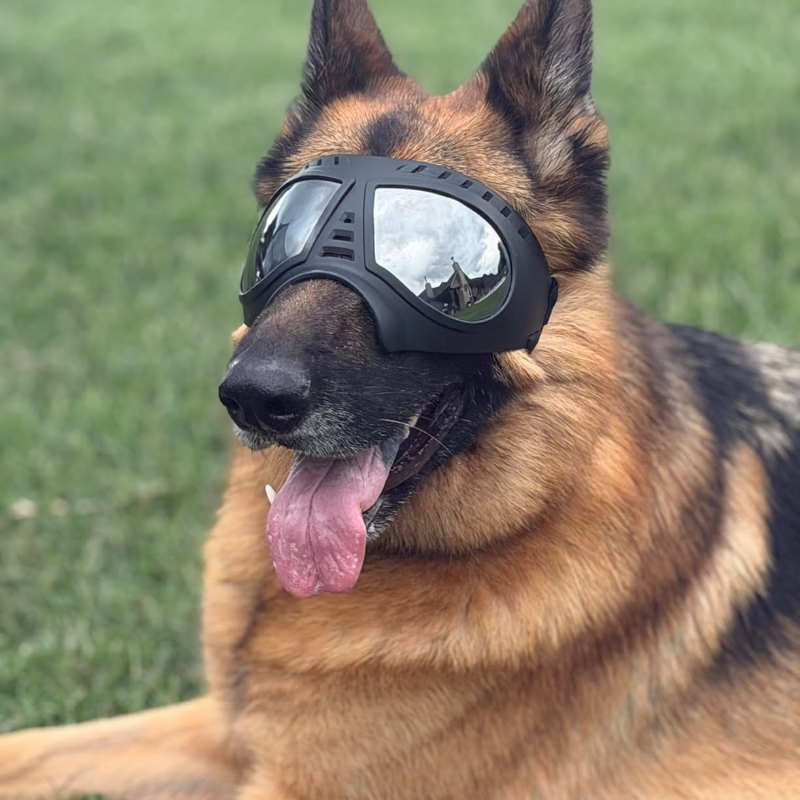 Snow Goggle Uv - ペット用メガネ 中型・大型犬用品 雪よけ UVカット 風よけゴーグル サングラス