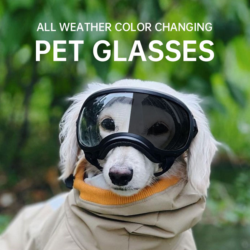 Snow Goggle Uv - 2026年カラーチェンジペットグラス、犬用ゴーグル、犬用サングラス（サイズ別）、スノーグラス、UVカット犬用サングラス