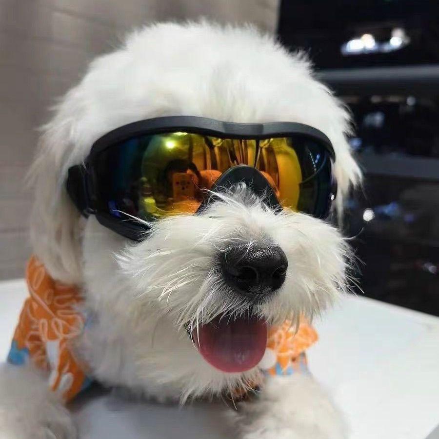 調節可能な TPU 犬用サングラス UV 保護小型ペット用ゴ - Snow Goggle Uv のレビューと価格