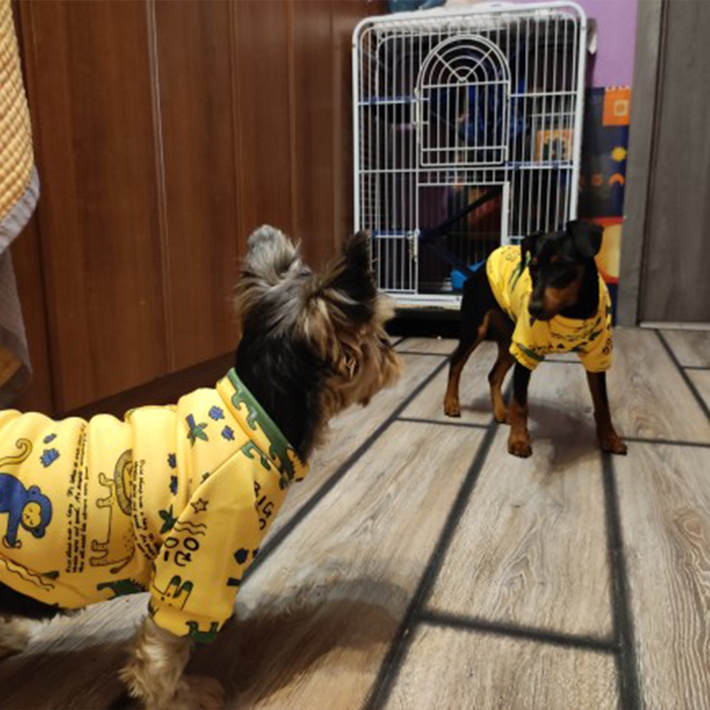 Xs 犬服小型犬用女の子子犬服小型犬用男の子猫ジャケットパー - Winter Clothing For Toddlers のレビューと価格